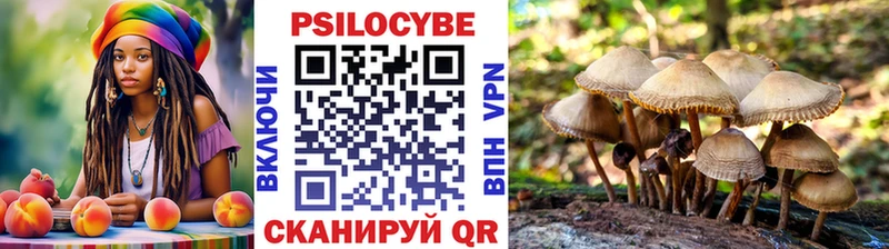 Псилоцибиновые грибы Psilocybine cubensis  Пыталово 